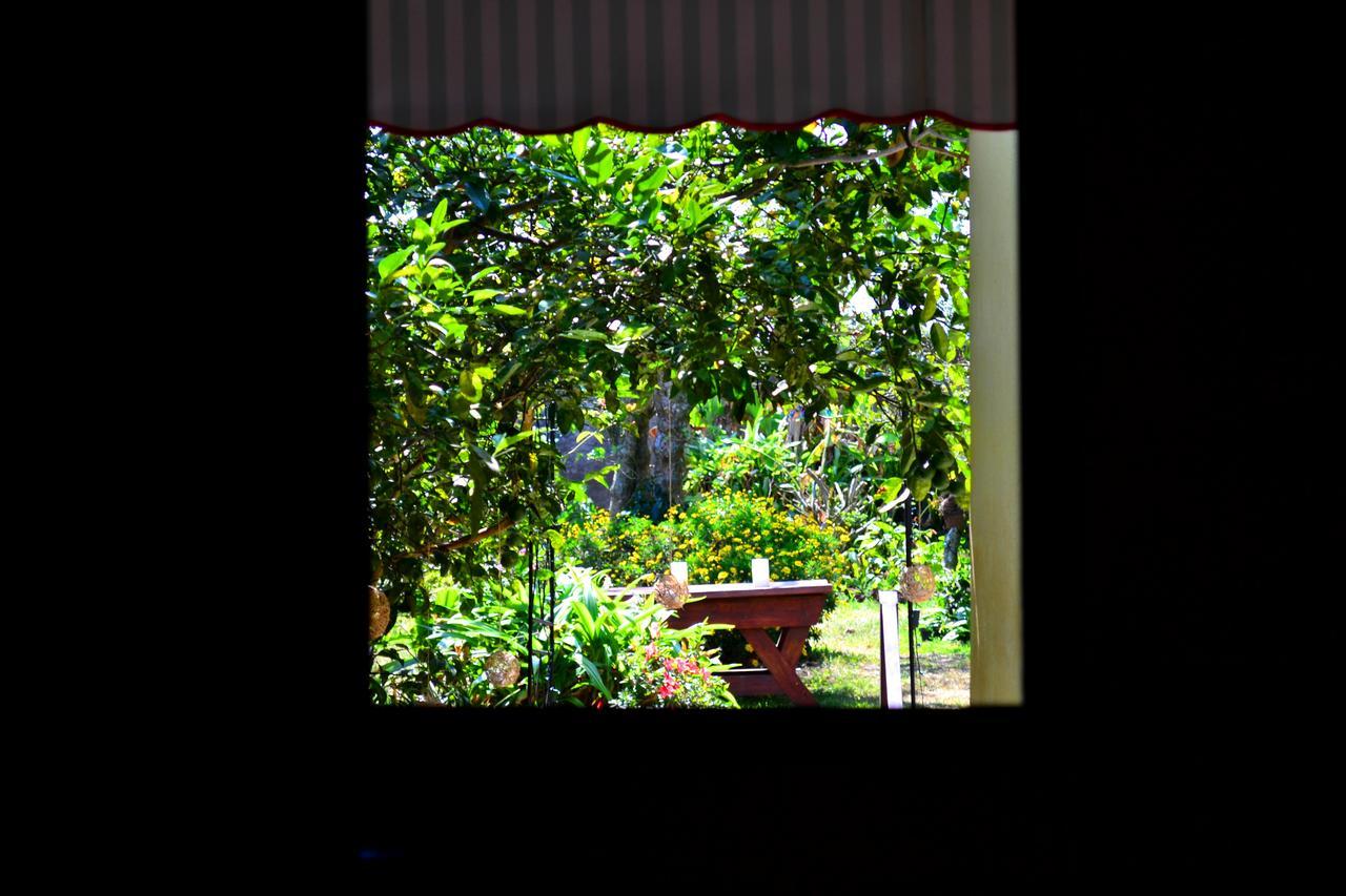 Hotel Casa Aura Cartago Extérieur photo